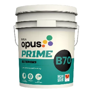 birla-opus-damp-proof-wall-dry